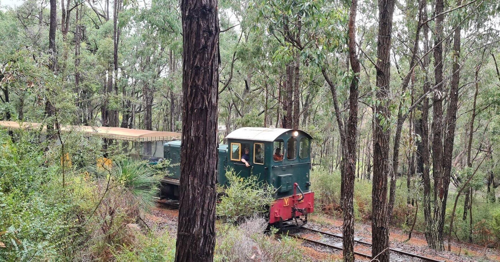 Run Around Loop Forest Train | Hotham Valley Railway